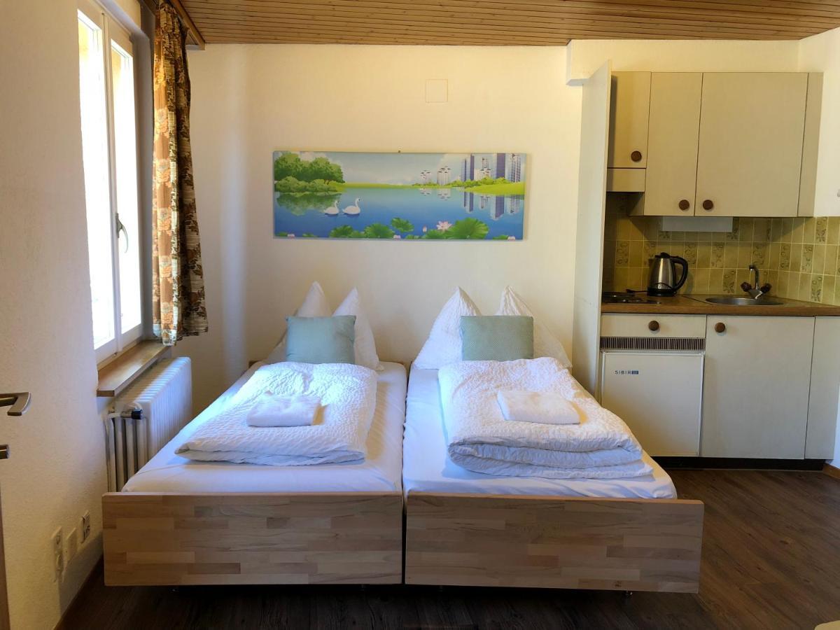 Central Beauty Scenery Apartment Interlaken Kültér fotó