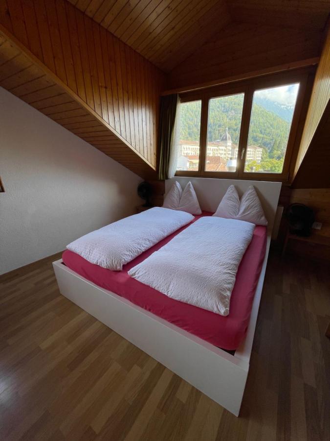 Central Beauty Scenery Apartment Interlaken Kültér fotó