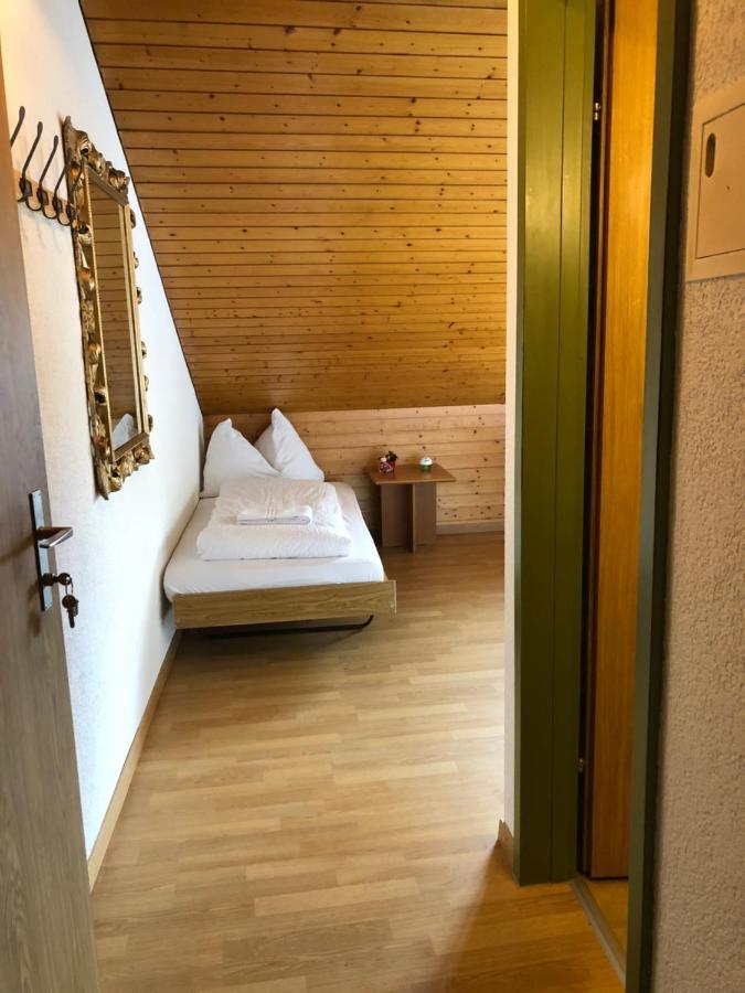 Central Beauty Scenery Apartment Interlaken Kültér fotó